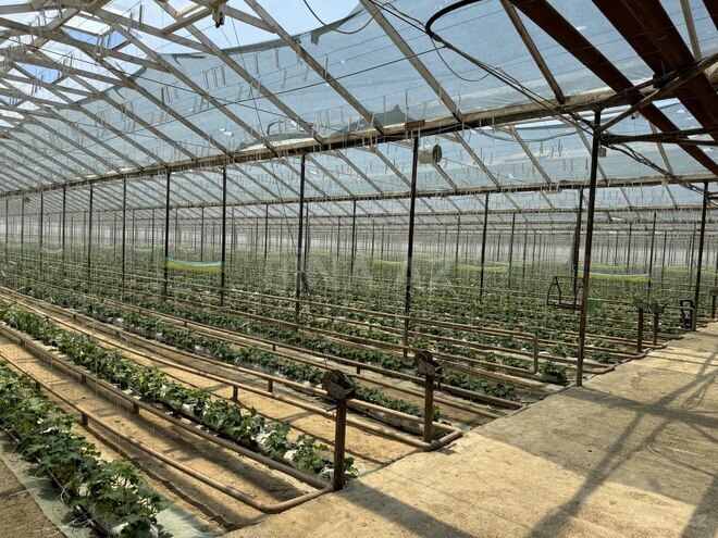 Satılır  obyekt 35 000 m², photo 5 from 17