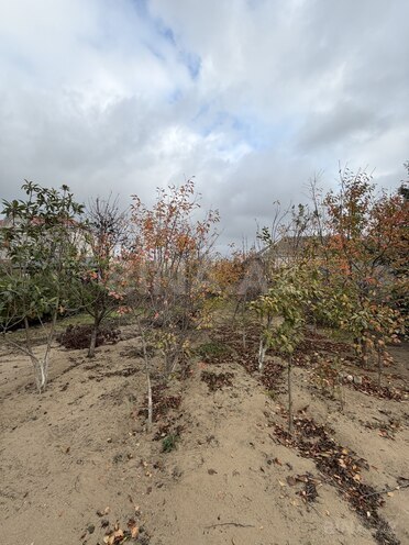 Продаётся  участок 5 сот, пос. Мардакан, photo 4 from 17