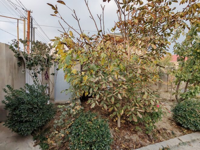 Продаётся 5-комн. дом/дача 180 м², пос. Савалан, photo 5 from 17