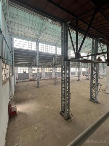 Сдаётся  объект 1 800 м², пос. Бинагади, photo 6 from 20