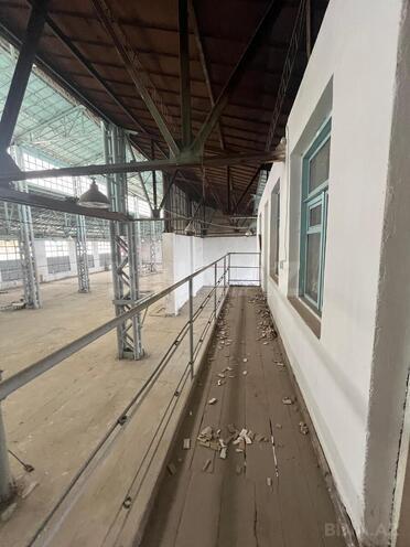 Сдаётся  объект 1 800 м², пос. Бинагади, photo 7 from 20