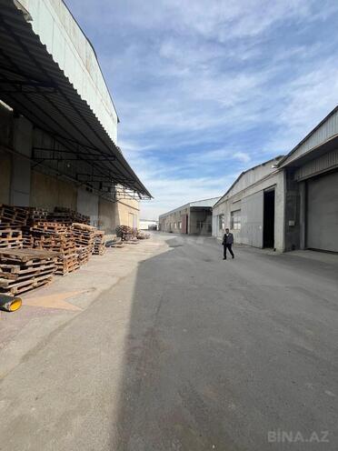 Сдаётся  объект 1 000 м², пос. Бинагади, photo 4 from 15