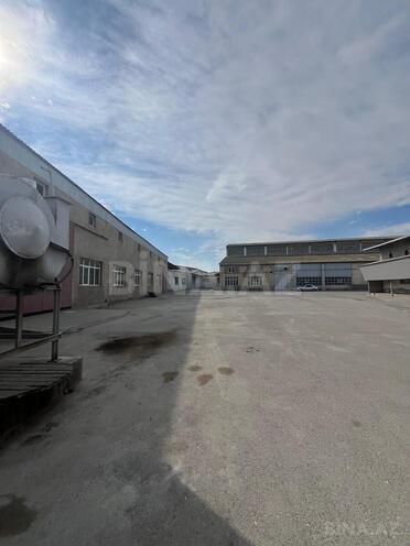 Сдаётся  объект 800 м², пос. Бинагади, photo 5 from 15