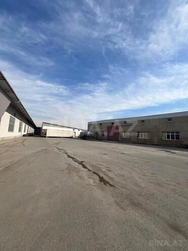 Сдаётся  объект 800 м², пос. Бинагади, photo 7 from 15