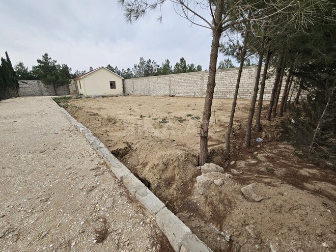 Продаётся  участок 13 сот, пос. Шувеляны, photo 9 from 13