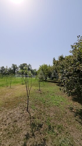 Satılır 2 otaqlı həyət evi/bağ evi 60 m², photo 25 from 31