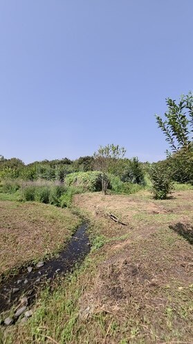 Satılır 2 otaqlı həyət evi/bağ evi 60 m², photo 23 from 31