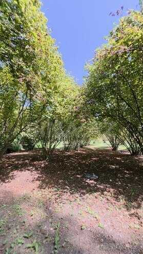 Satılır 2 otaqlı həyət evi/bağ evi 60 m², photo 29 from 31