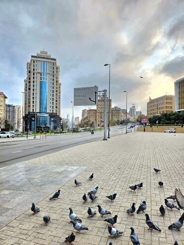 Satılır 3 otaqlı köhnə tikili 70 m², Elmlər Akademiyası m., photo 26 from 30