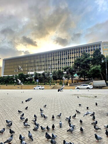 Satılır 3 otaqlı köhnə tikili 70 m², Elmlər Akademiyası m., photo 29 from 30