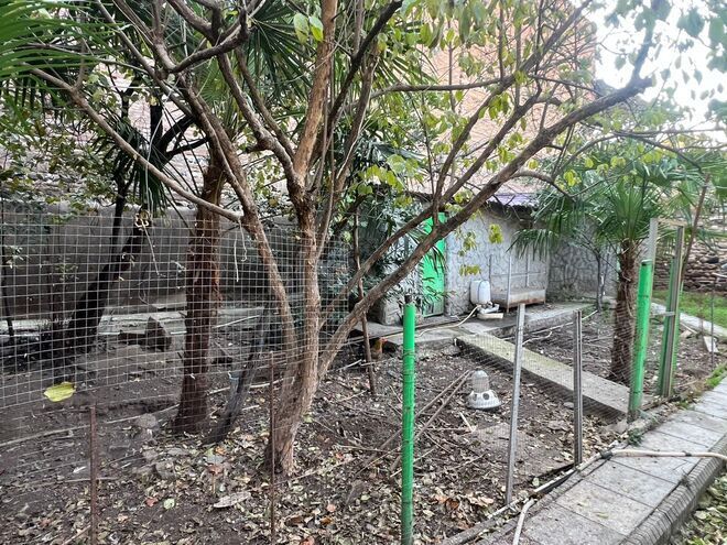 Satılır 12 otaqlı həyət evi/bağ evi 400 m², photo 17 from 32