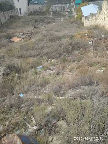 Satılır  torpaq 6 sot, Badamdar q., photo 4 from 6