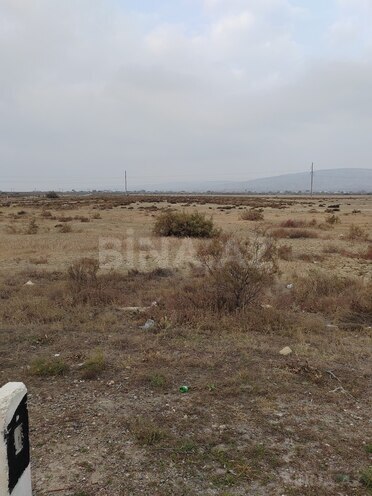 Продаётся  участок 520 сот, пос. Аляты, photo 3 from 4