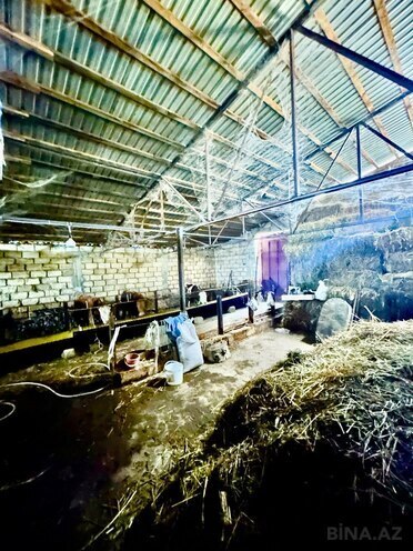 Satılır  obyekt 250 m², photo 7 from 15