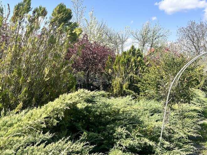 Продаётся 4-комн. дом/дача 300 м², photo 25 from 32