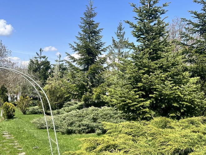 Продаётся 4-комн. дом/дача 300 м², photo 3 from 32