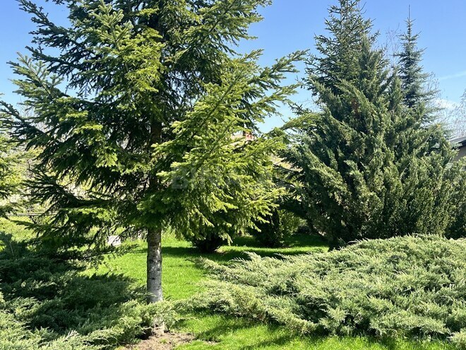 Продаётся 4-комн. дом/дача 300 м², photo 27 from 32