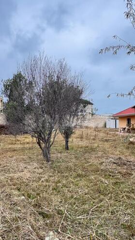 Продаётся  участок 2 сот, пос. Новханы, photo 19 from 24