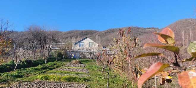 İcarəyə verilir 4 otaqlı həyət evi/bağ evi 180 m², photo 3 from 32