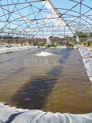 Продаётся  объект 10 000 м², пос. Тюркан, photo 14 from 24