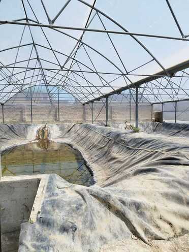 Продаётся  объект 10 000 м², пос. Тюркан, photo 6 from 24