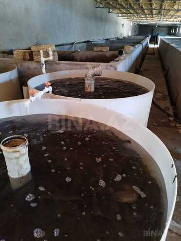 Продаётся  объект 10 000 м², пос. Тюркан, photo 23 from 24