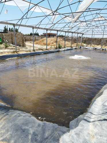 Продаётся  объект 10 000 м², пос. Тюркан, photo 16 from 24