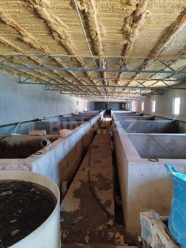 Продаётся  объект 10 000 м², пос. Тюркан, photo 22 from 24