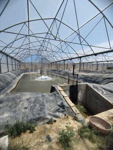 Продаётся  объект 10 000 м², пос. Тюркан, photo 13 from 24