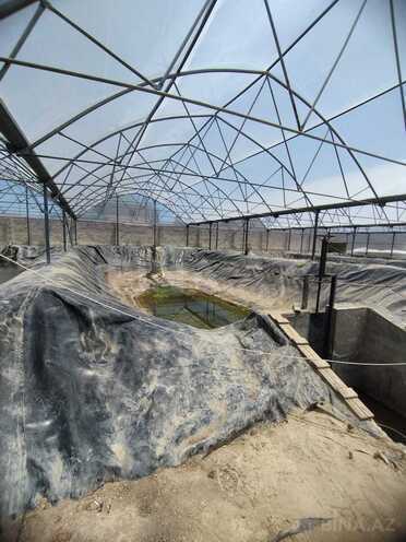 Продаётся  объект 10 000 м², пос. Тюркан, photo 19 from 24