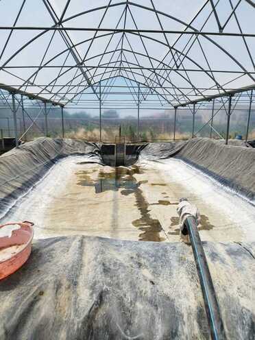 Продаётся  объект 10 000 м², пос. Тюркан, photo 10 from 24