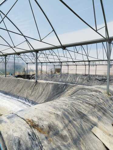 Продаётся  объект 10 000 м², пос. Тюркан, photo 11 from 24