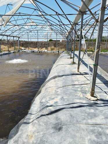 Продаётся  объект 10 000 м², пос. Тюркан, photo 12 from 24