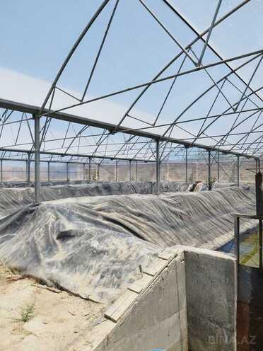 Продаётся  объект 10 000 м², пос. Тюркан, photo 5 from 24