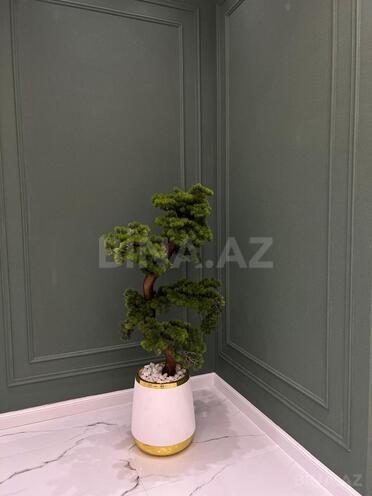 Продаётся 4-комн. новостройка 208 м², Насиминский  р., photo 23 from 24