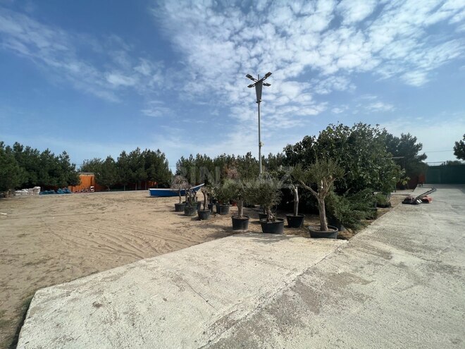 Продаётся  участок 75 сот, пос. Нардаран, photo 6 from 10