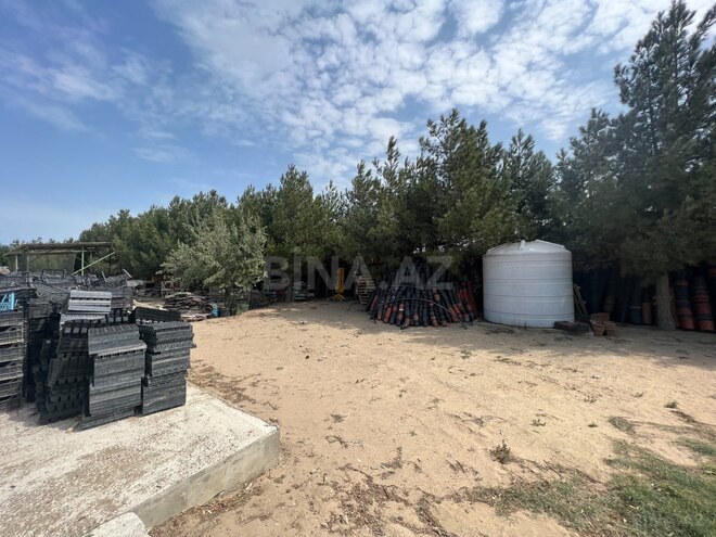 Продаётся  участок 75 сот, пос. Нардаран, photo 9 from 10