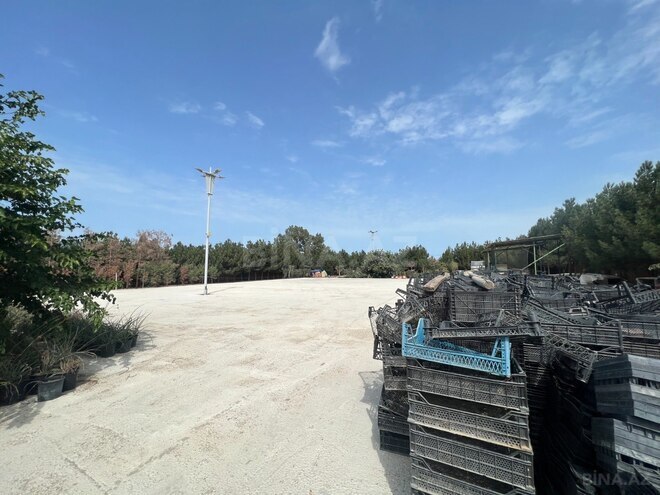 Продаётся  участок 75 сот, пос. Нардаран, photo 5 from 10