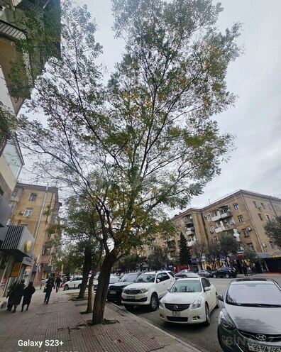 Satılır 3 otaqlı köhnə tikili 90 m², Nəriman Nərimanov m., photo 15 from 16