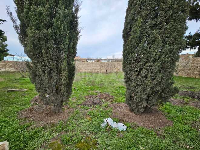 Продаётся  участок 10 сот, пос. Шувеляны, photo 3 from 5