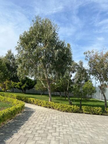 Продаётся 6-комн. дом/дача 255 м², пос. Мардакан, photo 13 from 20