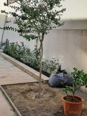 Satılır 8 otaqlı həyət evi/bağ evi 250 m², Nəsimi m., photo 20 from 25