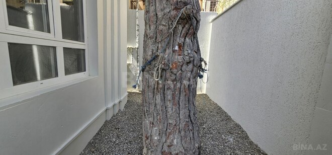 Satılır 5 otaqlı həyət evi/bağ evi 226 m², Yasamal q., photo 18 from 22