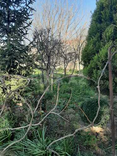 Satılır  torpaq 11.5 sot, Ceyranbatan q., photo 9 from 12