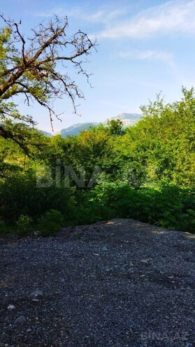 Продаётся 2-комн. дом/дача 50 м², photo 16 from 17