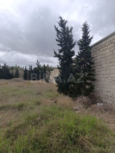 Продаётся  участок 11.5 сот, пос. Шувеляны, photo 5 from 7