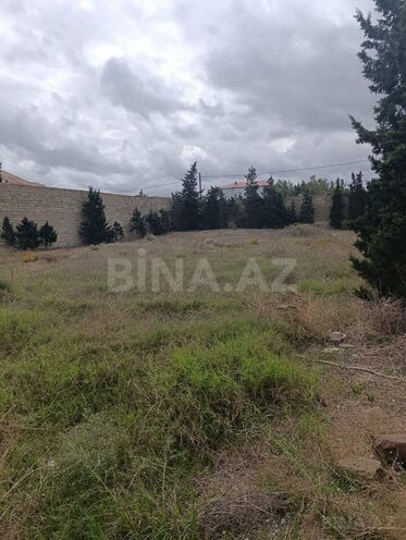 Продаётся  участок 11.5 сот, пос. Шувеляны, photo 3 from 7