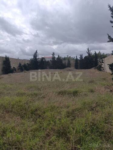 Продаётся  участок 11.5 сот, пос. Шувеляны, photo 4 from 7