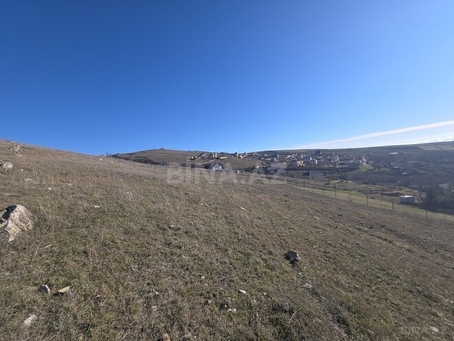 Продаётся  участок 12 сот, photo 5 from 13