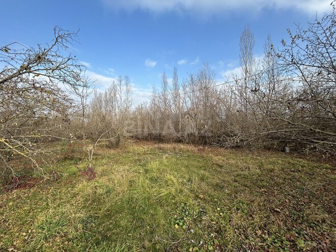 Продаётся  участок 15 сот, photo 1 from 6